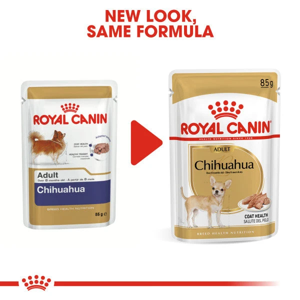 Royal Canin Wet Dog Food Specifically For Chihuahua Adult 12x85g 4 Royal Canin Wet Dog Food Specifically For Chihuahua Adult 12x85g - Image 4
