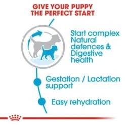 Royal Canin Dry Dog Food For Mini Starter Mother & Babydog - All Sizes -Pet Supply Store 0b1aj4jlt3m