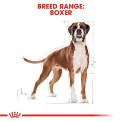 Royal Canin Dry Dog Food Specifically For Adult Boxer - All Sizes 15 Royal Canin Dry Dog Food Specifically For Adult Boxer - All Sizes -Pet Supply Store 0ouja0ltgdi