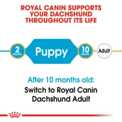 Royal Canin Dry Dog Food Specifically For Puppy Dachshund 1.5kg -Pet Supply Store 0wejvpezmje