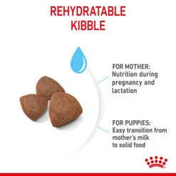 Royal Canin Dry Dog Food For Medium Starter Mother & Babydog - All Sizes -Pet Supply Store 0xv3h0qzplp