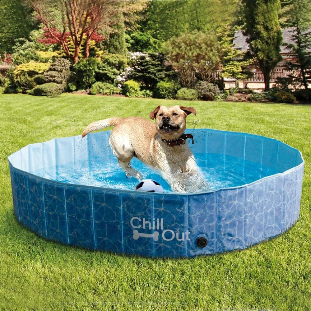 All For Paws Chill Out Splash And Fun Dog Pool 4 All For Paws Chill Out Splash And Fun Dog Pool - Image 4