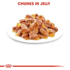 Royal Canin Wet Cat Food Kitten Pouch In Jelly 48 X 85g -Pet Supply Store 10wzcg2j2ec