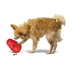 KONG Wobbler - All Sizes -Pet Supply Store 1inmeetfcjb