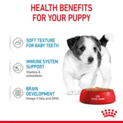 Royal Canin Nutritional Wet Dog Food For Mini Puppy - 12x85g 16 Royal Canin Nutritional Wet Dog Food For Mini Puppy - 12x85g -Pet Supply Store 1k1zk0m5kvf