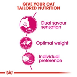 Royal Canin Savour Exigent Adult Dry Cat Food 4kg 10 Royal Canin Savour Exigent Adult Dry Cat Food 4kg -Pet Supply Store 21kuk3k12nq