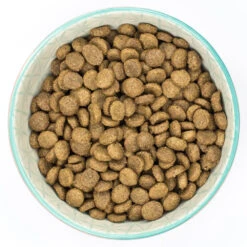 Burns Adult Small Toy Breed 2Kg Chicken & Rice Dog Food -Pet Supply Store 23g5g0fhxlh