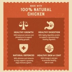 James Wellbeloved Chicken & Rice Puppy Wet Dog Food 400g X 12 -Pet Supply Store 2cnmsnebob4