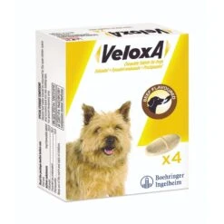 Boehringer Ingelheim Veloxa Chewable Worming Tablets For Dogs 7 Boehringer Ingelheim Veloxa Chewable Worming Tablets For Dogs -Pet Supply Store 2do3fxyun22 48450538 9057 4550 bbbe c5a4e214ea20