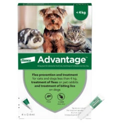 Advantage Spot On Flea Treatment -Pet Supply Store 2rn11moivoy