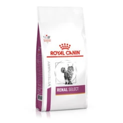 Royal Canin Veterinary Health Nutrition Feline Renal Select Cat Food- Various Sizes 7 Royal Canin Veterinary Health Nutrition Feline Renal Select Cat Food- Various Sizes -Pet Supply Store 3bp0hqsazsj