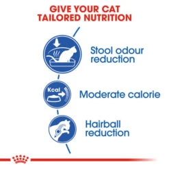 Royal Canin Adult Dry Cat Food For Indoor Cats 27 4kg 11 Royal Canin Adult Dry Cat Food For Indoor Cats 27 4kg -Pet Supply Store 3nsizna1r3u