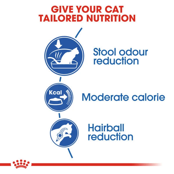 Royal Canin Adult Dry Cat Food For Indoor Cats 27 4kg 6 Royal Canin Adult Dry Cat Food For Indoor Cats 27 4kg - Image 6