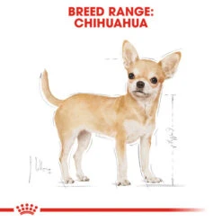 Royal Canin Dry Dog Food Specifically For Adult Chihuahua - All Sizes 15 Royal Canin Dry Dog Food Specifically For Adult Chihuahua - All Sizes -Pet Supply Store 3q1nlvo3uen