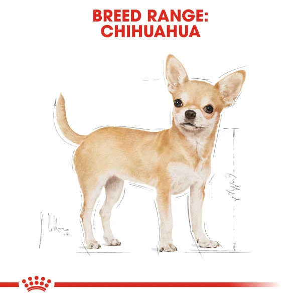Royal Canin Dry Dog Food Specifically For Adult Chihuahua - All Sizes 8 Royal Canin Dry Dog Food Specifically For Adult Chihuahua - All Sizes - Image 8