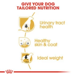 Royal Canin Dry Dog Food Specifically For Adult Bichon Frise 1.5kg 13 Royal Canin Dry Dog Food Specifically For Adult Bichon Frise 1.5kg -Pet Supply Store 4lqxijydhrg