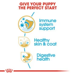 Royal Canin Dry Dog Food Specifically For Puppy Golden Retriever - All Sizes 16 Royal Canin Dry Dog Food Specifically For Puppy Golden Retriever - All Sizes -Pet Supply Store 4m0pe4iudwt