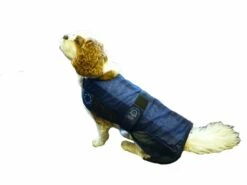 Animate Pet Dog Cat Cooling Coat Jacket For Dogs -Pet Supply Store 4nnbg5ax0g3