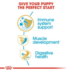 Royal Canin Dry Dog Food Specifically For Puppy Boxer - All Sizes -Pet Supply Store 4p31e3fxhwj