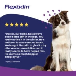 Vetoquinol Flexadin UC-II Joint Care For Dogs 11 Vetoquinol Flexadin UC-II Joint Care For Dogs -Pet Supply Store 4sqyysownxp