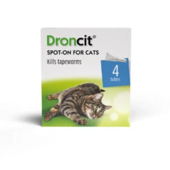 Droncit Spot-On Tapewormer For Cats (from 1kg), 4 Tubes