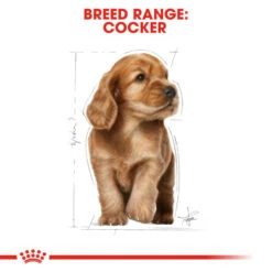 Royal Canin Dry Dog Food Specifically For Puppy Cocker 3kg -Pet Supply Store 4ykppjcxqzz