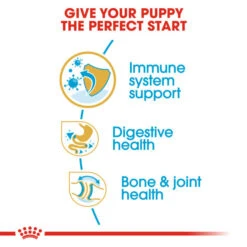 Royal Canin Dry Dog Food Specifically For Puppy Bulldog - All Sizes -Pet Supply Store 50c0po0iu4h