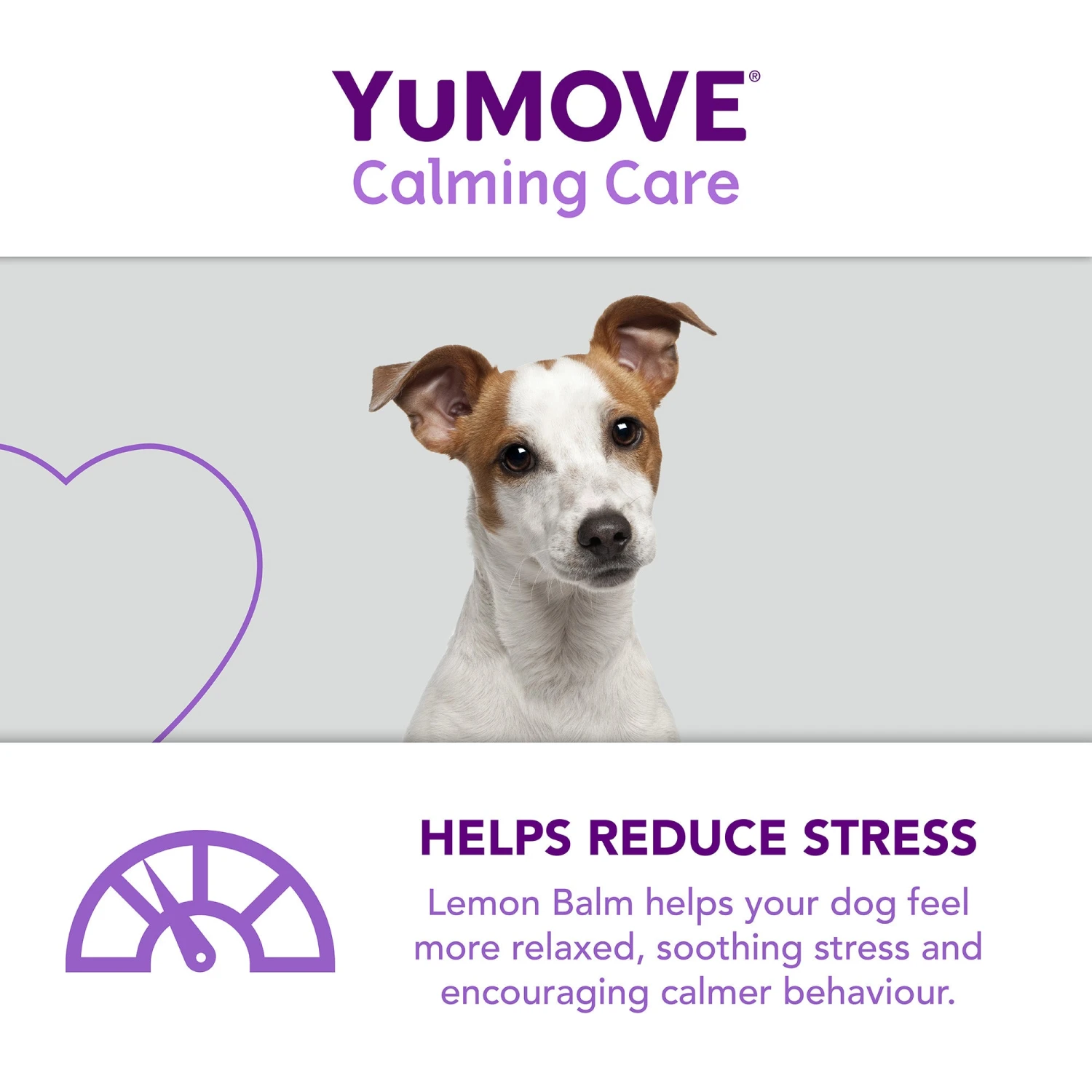 YuMOVE Calming Care For Adult Dogs- Various Sizes 7 YuMOVE Calming Care For Adult Dogs- Various Sizes - Image 7