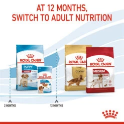 Royal Canin Dry Dog Food For Medium Puppies - All Sizes -Pet Supply Store 5euyvqw0xcp