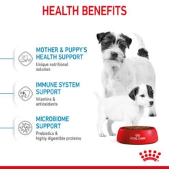 Royal Canin Dry Dog Food For Mini Starter Mother & Babydog - All Sizes -Pet Supply Store 5ia2rak2lur