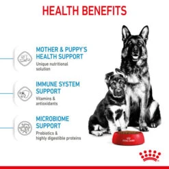 Royal Canin Dry Dog Food For Maxi Starter Mother & Babydog - All Sizes 19 Royal Canin Dry Dog Food For Maxi Starter Mother & Babydog - All Sizes -Pet Supply Store 5kbajjlgjlr