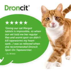 Droncit Spot-On Tapewormer For Cats (from 1kg), 4 Tubes -Pet Supply Store 5naeldgelsi