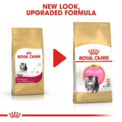 Royal Canin Persian Kitten Dry Food For Cats 4kg 10 Royal Canin Persian Kitten Dry Food For Cats 4kg -Pet Supply Store 5nhsdheisbh