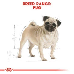 Royal Canin Dry Dog Food Specifically For Adult Pug - All Sizes -Pet Supply Store 5ozfm0fw4sw