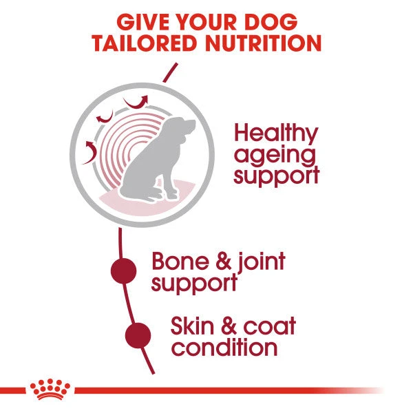 Royal Canin Wet Dog Food For Medium Ageing Senior 10+ Dogs 10x140g 4 Royal Canin Wet Dog Food For Medium Ageing Senior 10+ Dogs 10x140g - Image 4
