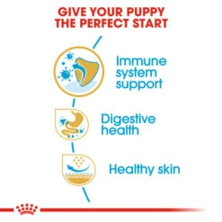 Royal Canin Dry Dog Food Specifically For Puppy French Bulldog - All Sizes -Pet Supply Store 5tnjsafqdza