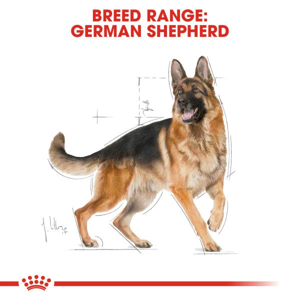 Royal Canin Dry Dog Food Specifically For Adult German Shepherds - All Sizes 8 Royal Canin Dry Dog Food Specifically For Adult German Shepherds - All Sizes - Image 8