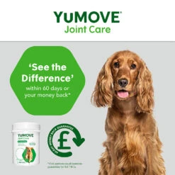 YuMOVE Joint Care For Adult Dogs | Various Sizes -Pet Supply Store adxo0ddhl03 c0883e9c f01d 4358 a44e 9768a2b7d0a1