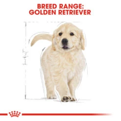 Royal Canin Dry Dog Food Specifically For Puppy Golden Retriever - All Sizes 14 Royal Canin Dry Dog Food Specifically For Puppy Golden Retriever - All Sizes -Pet Supply Store anbslhklqa4