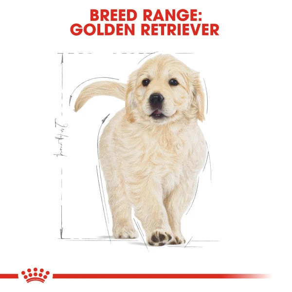 Royal Canin Dry Dog Food Specifically For Puppy Golden Retriever - All Sizes 6 Royal Canin Dry Dog Food Specifically For Puppy Golden Retriever - All Sizes - Image 6
