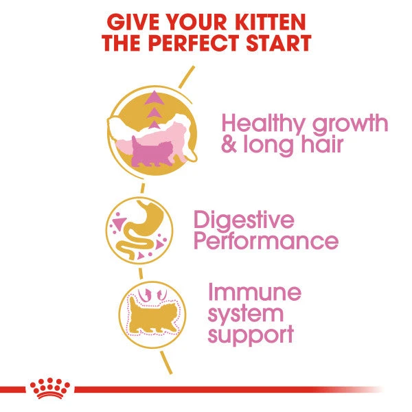 Royal Canin Persian Kitten Dry Food For Cats 4kg 6 Royal Canin Persian Kitten Dry Food For Cats 4kg - Image 6