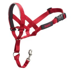 Company Of Animals Halti Dog Headcollar Red 14 Company Of Animals Halti Dog Headcollar Red -Pet Supply Store askwltesj0z