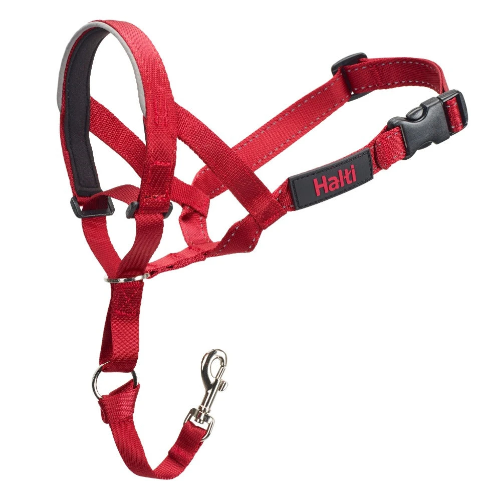 Company Of Animals Halti Dog Headcollar Red 6 Company Of Animals Halti Dog Headcollar Red - Image 6