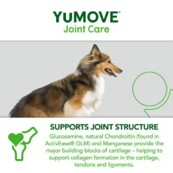 YuMOVE Joint Care For Adult Dogs | Various Sizes -Pet Supply Store azgbd1vu5ll f47aed1a 84e6 4a88 b955 be68c1794302