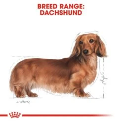 Royal Canin Wet Dog Food Specifically For Adult Dachshund 12x85g -Pet Supply Store b0spz2vqgln
