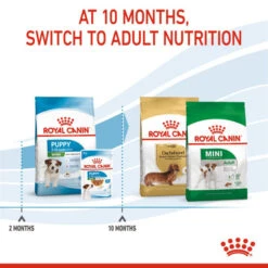 Royal Canin Dry Dog Food For Mini Puppy - All Sizes -Pet Supply Store bbrpcv1body