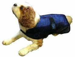 Animate Pet Dog Cat Cooling Coat Jacket For Dogs -Pet Supply Store bfocddx3xuv