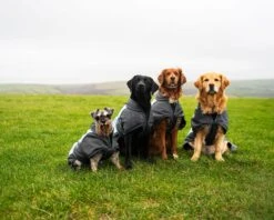 Henry Wag Waterproof Dog Warm Coat Clothing - All Sizes -Pet Supply Store bfsf1lwb0qn