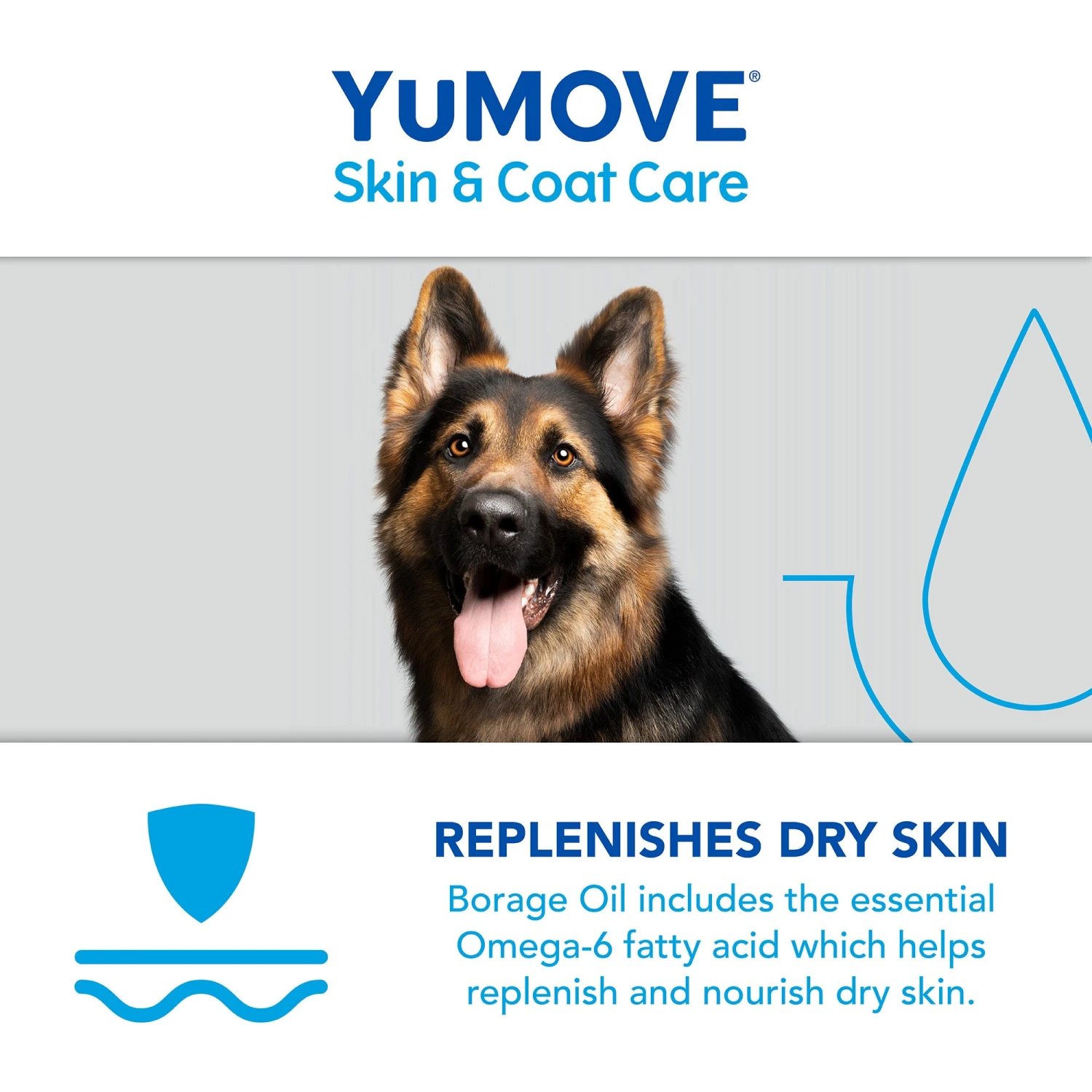 YuMOVE Skin & Coat Care Moulting For Adult Dogs | 500ml 7 YuMOVE Skin & Coat Care Moulting For Adult Dogs | 500ml - Image 7