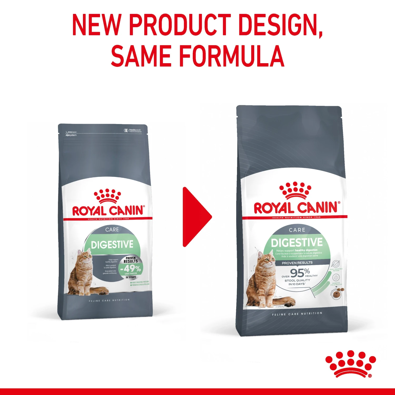 Royal Canin Digestive Care Adult Dry Cat Food For Cats 4 Royal Canin Digestive Care Adult Dry Cat Food For Cats - Image 4